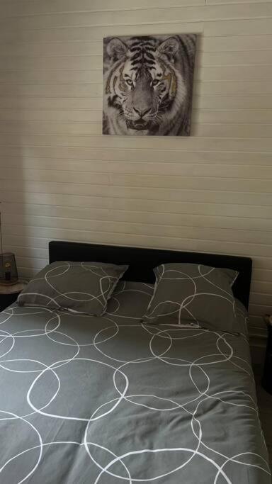 Magnifique Appartement T2 Le Barcarès Buitenkant foto